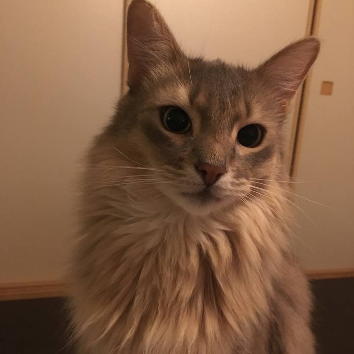 2cc0f664 b2f8 4a4b 8fd0 63523c250a23