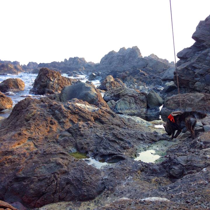 2cc12c9d 17d3 4a0b 9b13 029231313f01