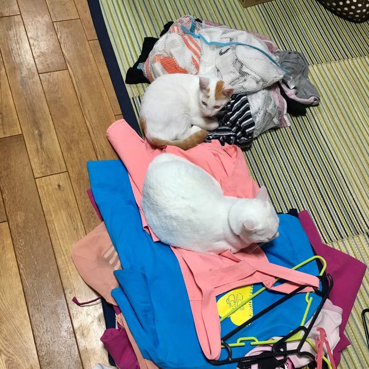 2cc162ca 7a86 48d0 b084 b22fa11e38fa