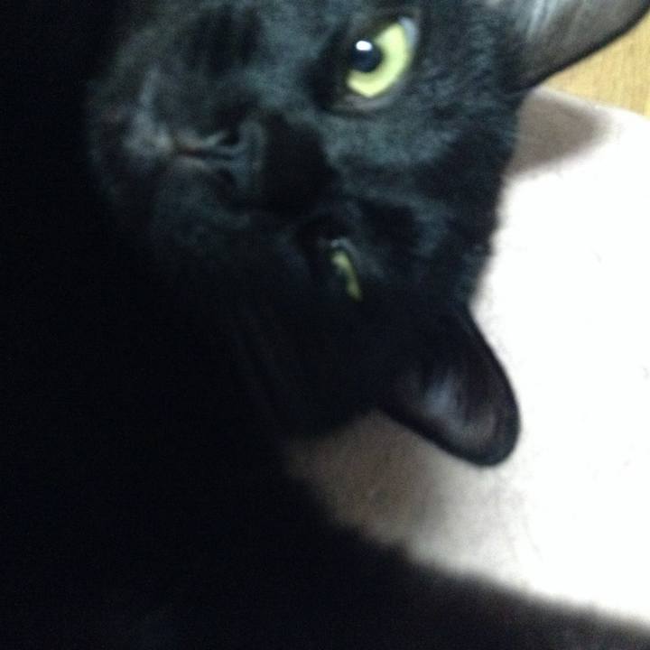 2cc22935 ae58 4e04 b516 8f62e0fa0fb5