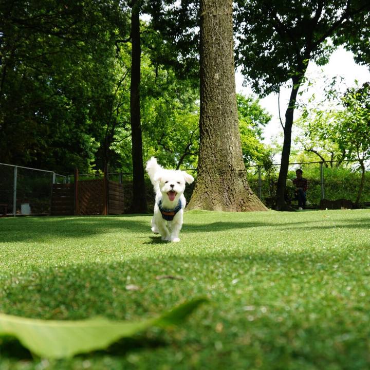 2cc23672 4b1a 4cd0 a4bf cf2d16f30c71