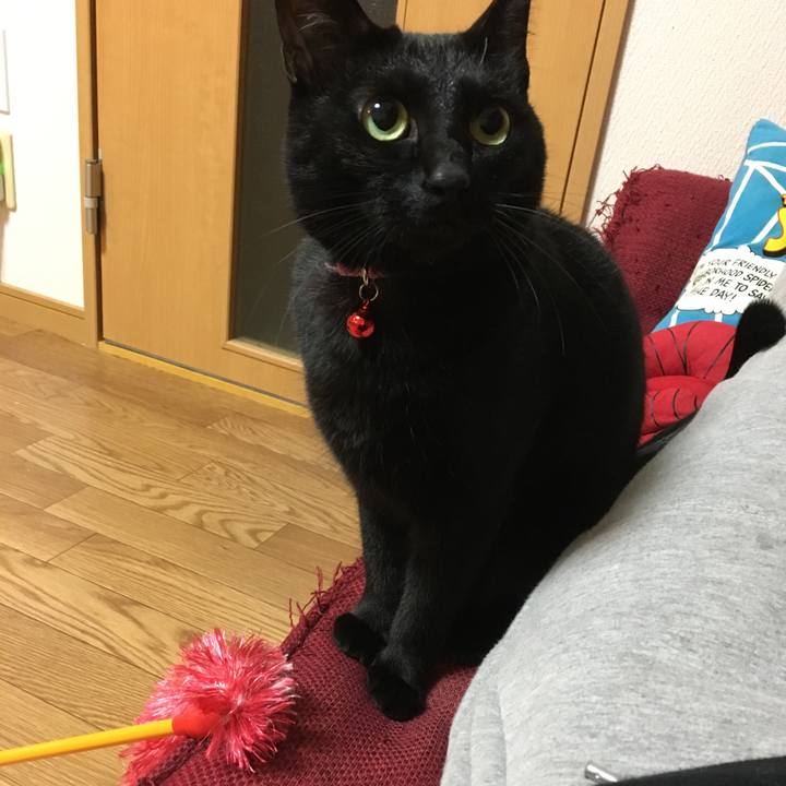 2cc2d6d5 76d0 4488 bbf8 7a67d3efe0a3