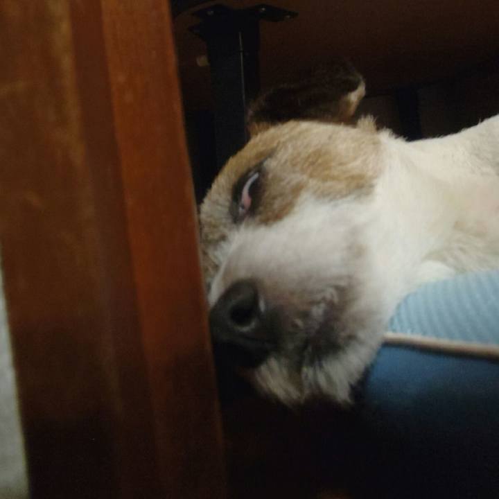 2cc351de d134 46b9 8a37 1d9e2e60a56e