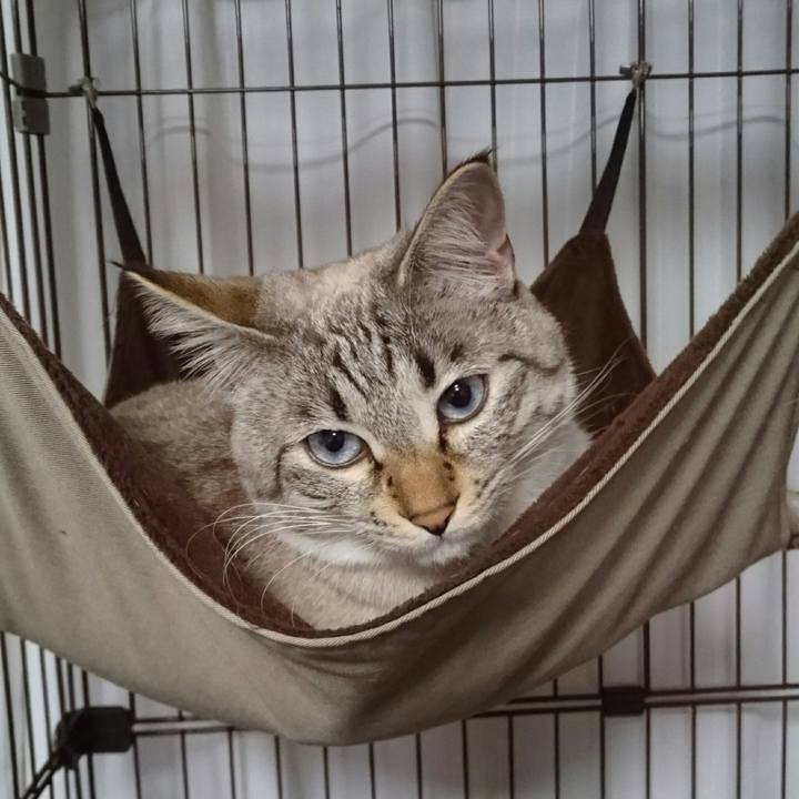 2cc41e9e 2865 43b4 8f67 982e8e60a7e6