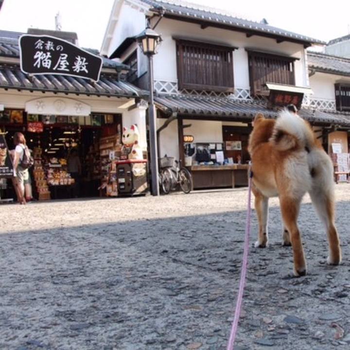 2cc479a2 74d8 4c2a 9184 9c43ba59e18e