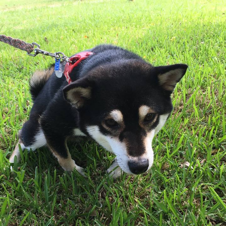 2cc5d8c4 1773 47eb af21 a03c35d4a541