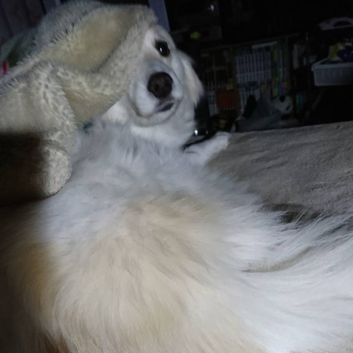 2cc5dc6b a336 4d09 a1d1 362ea7c20cca