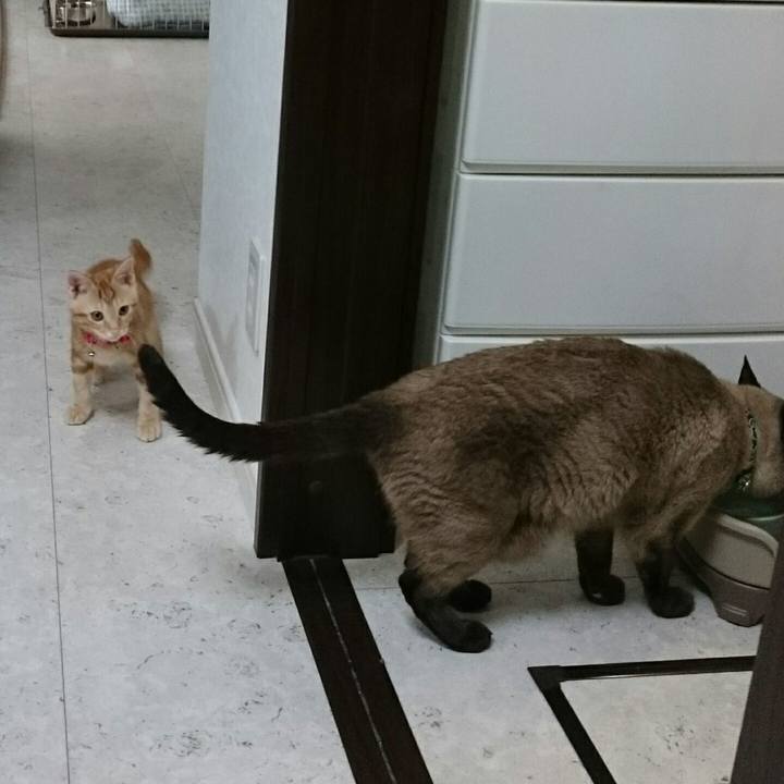 2cc627be fddd 48b5 a3e6 f962a17f9a44