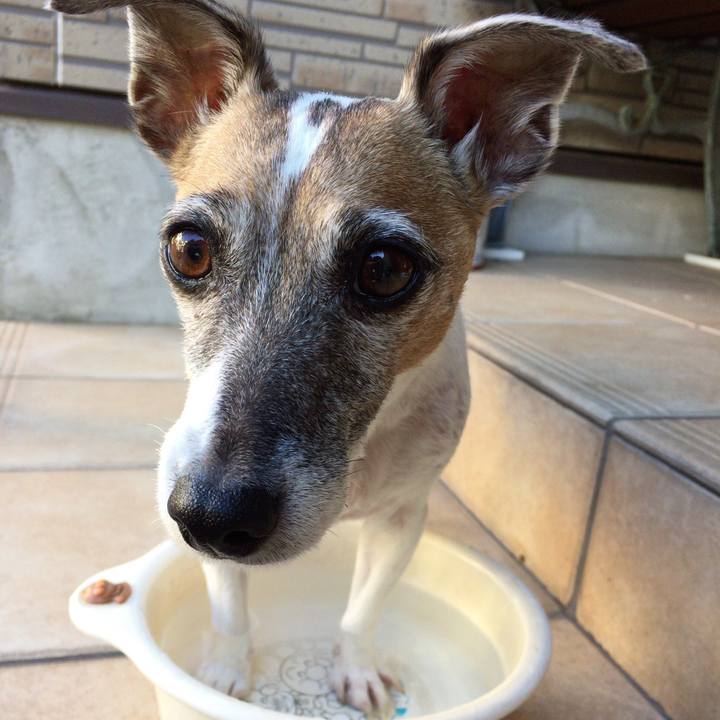 2cc62c6f 9ee9 4e67 ae93 ebbdf9795df1