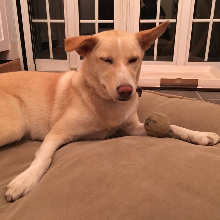 2cc6eb65 c7fc 401d a8bb b41ee70fe924