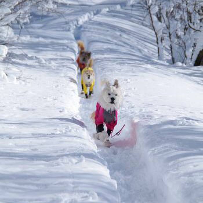 2cc7569d 44ca 479e b4e5 e94e684c8752