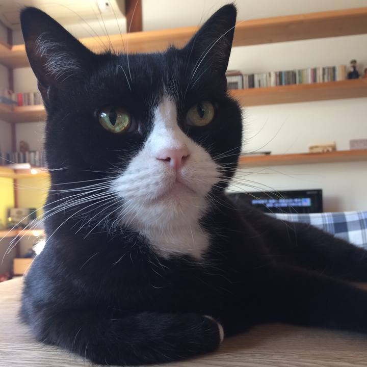 2cc75aa1 c7b9 48c9 9a9b 5b642953e9e6