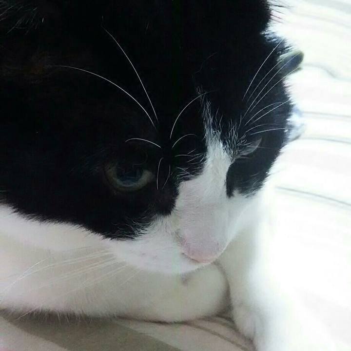 2cc7604d 3aae 450f 8269 b38ec25dce12