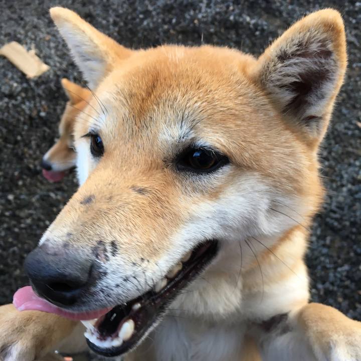 2cc7ecf6 ee5b 4971 8bd9 a73ba345a8dd