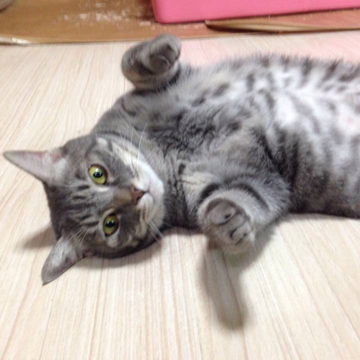 2cc89a9d ec52 4410 b3bf 4782c2355e80