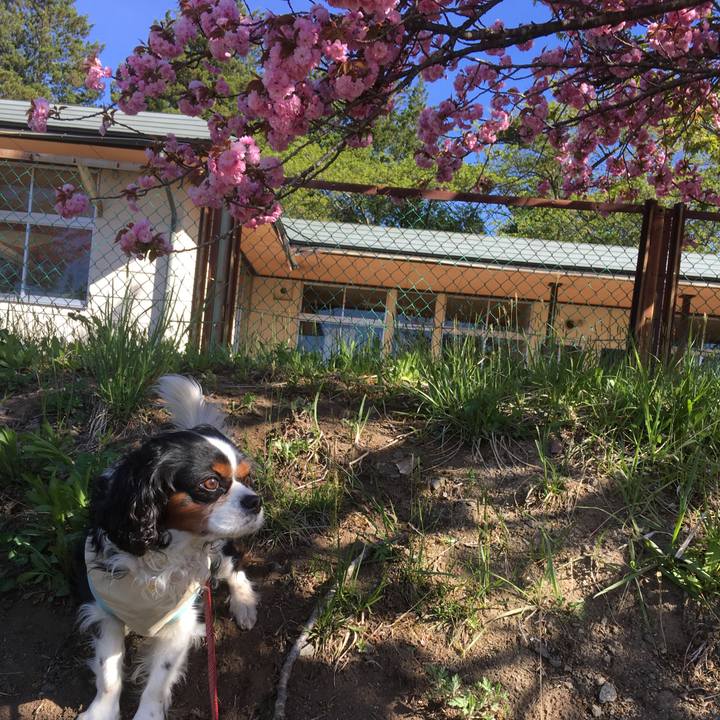 2cc8fba3 7eb8 4fe0 88e0 9b58e0cc151d