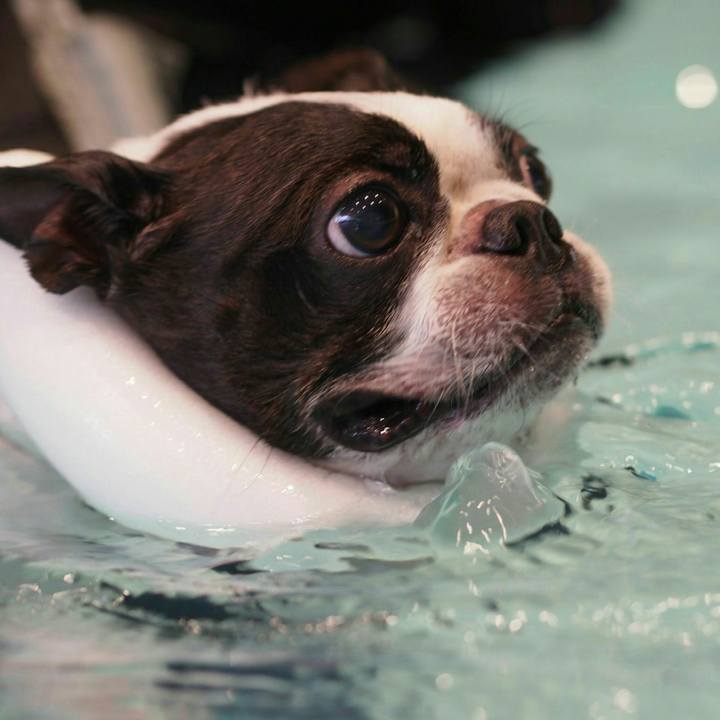 2cc93b4d 06f1 4ad3 87d4 7bf81860b32c