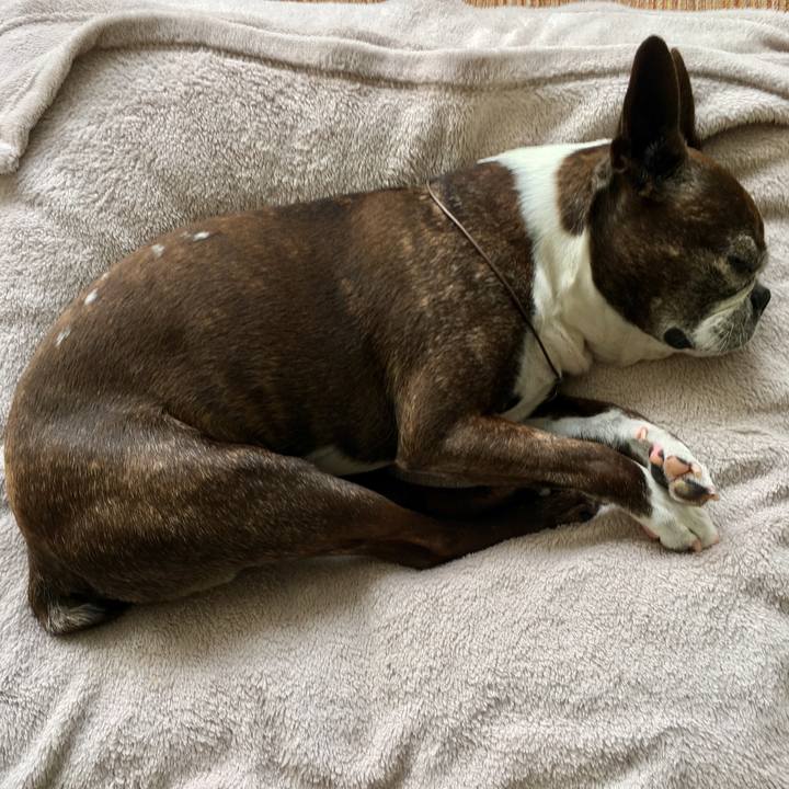 2cc9ad4e cb34 437a ad86 f9ff575aefaa