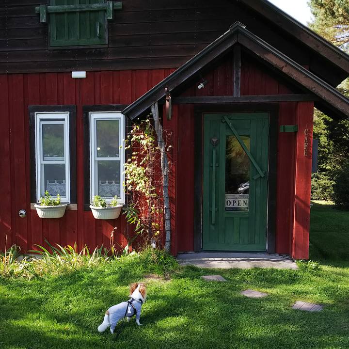 2cc9b191 eaa4 4723 8700 dcb94bb2756e