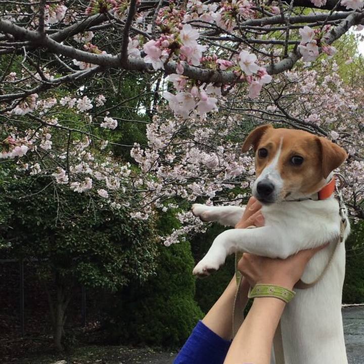 2cc9f2b9 6381 4146 b2c8 12b3feeace28