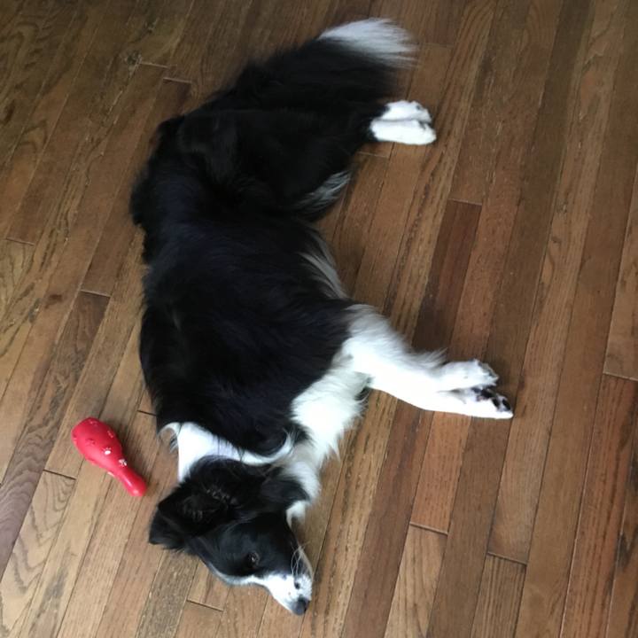 2cca7d16 3013 4050 abb7 f7636211fcb4