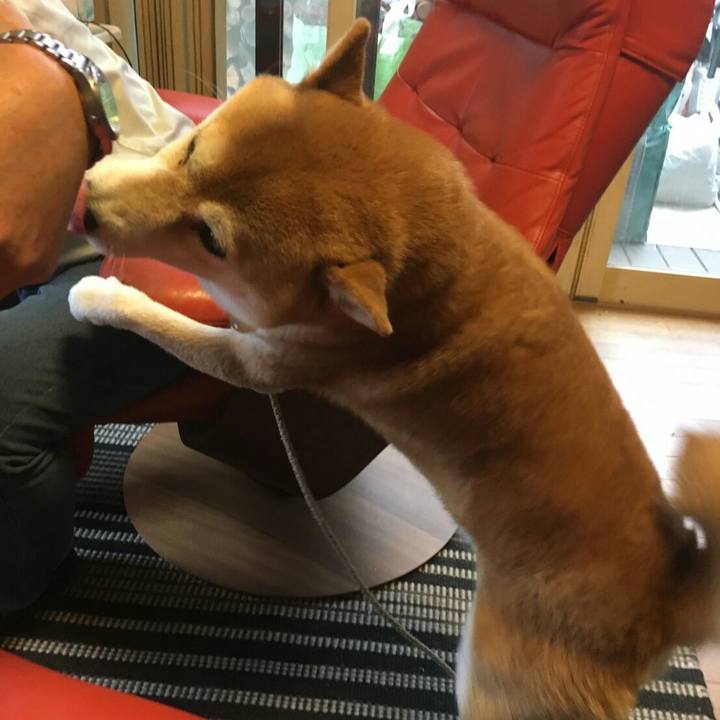 2ccaa1dd 616a 4e1c a7c1 73975bba5504