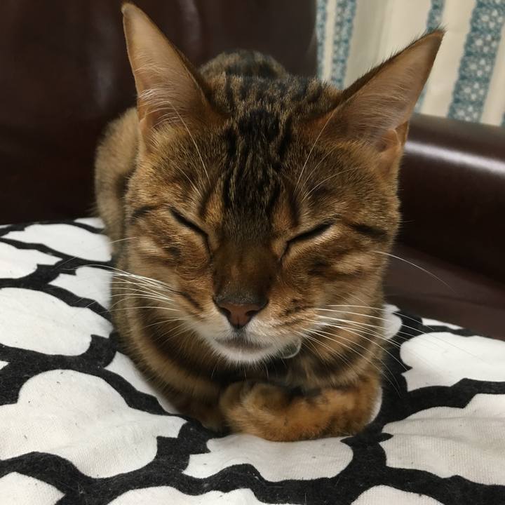 2ccafe82 8866 4065 b995 a0ea055e54ed