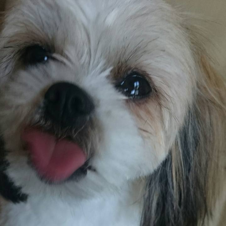 2ccb5ea7 4329 4b8f a223 521bf64d88d8