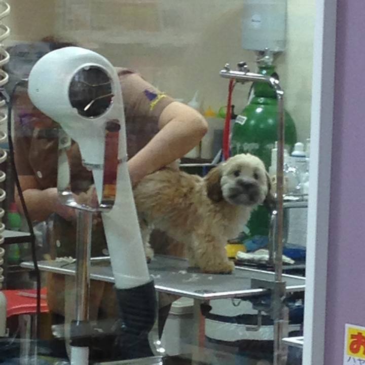 2ccbd3db c61b 422e bc28 3890de40ba8a