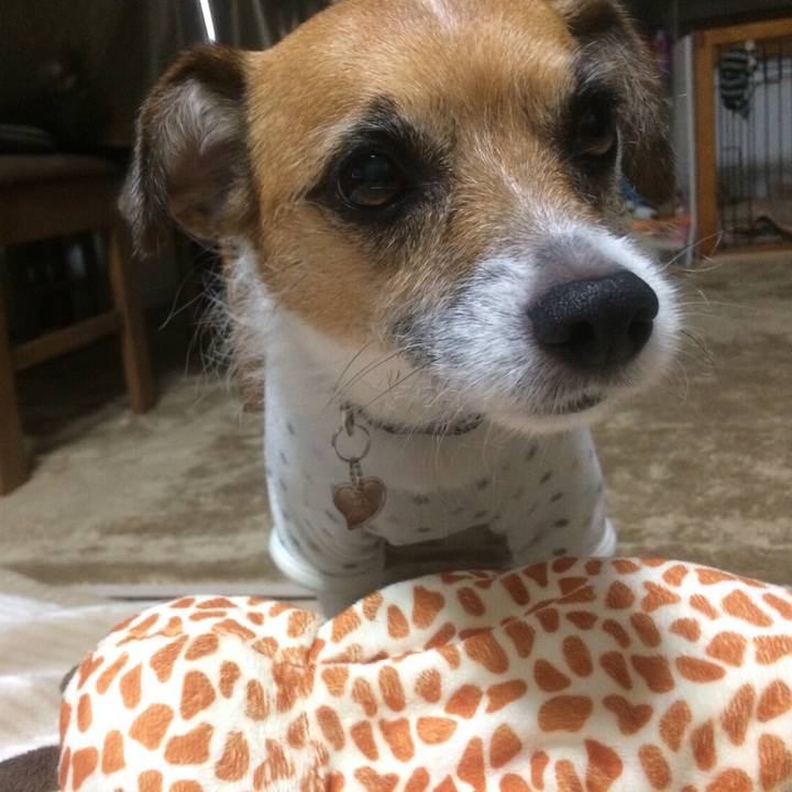 2ccc9ea9 a353 467f a904 5815a3936c15