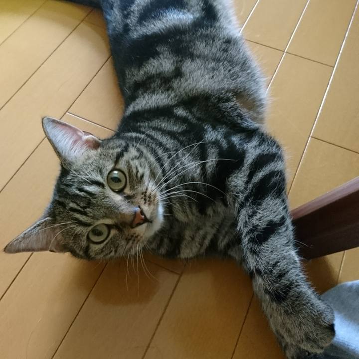 2cccb9eb 93a0 4ee8 be9e 2665dfd9d1d2