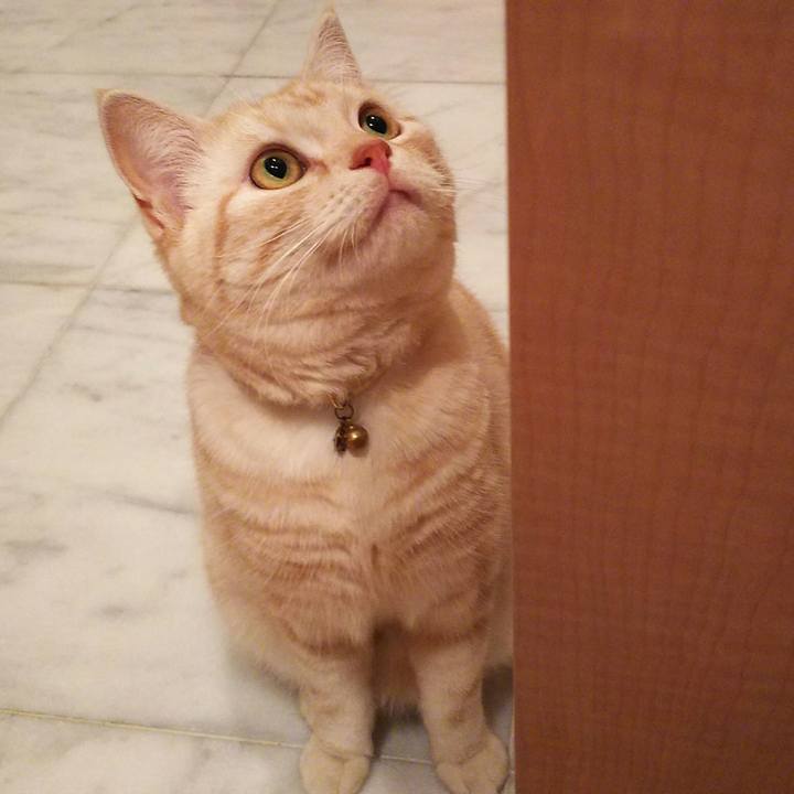 2cce803d 5482 4ffe 8677 6f99cc2debd9