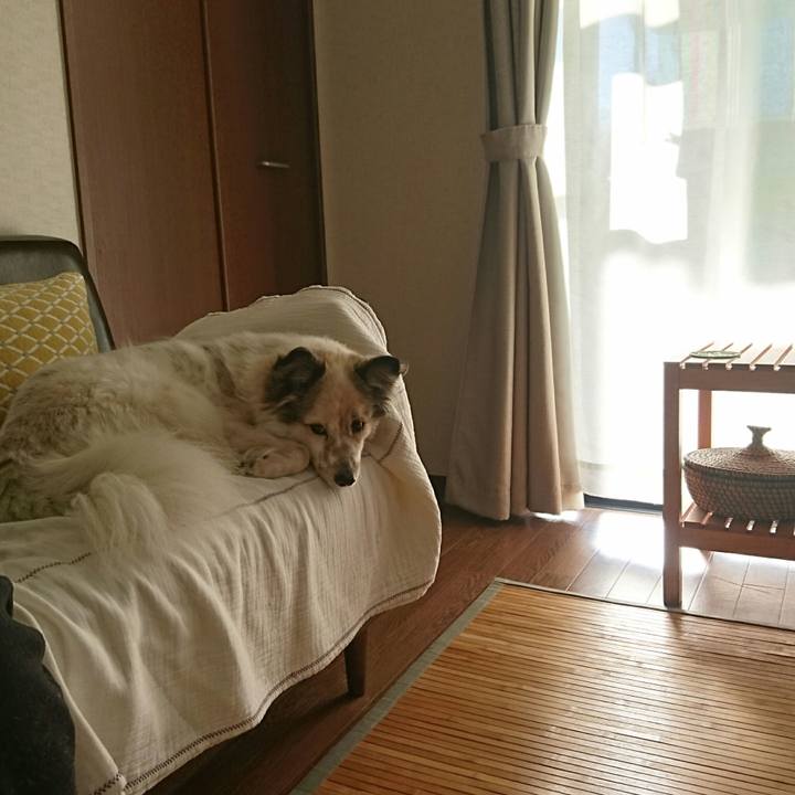 2ccf2990 ac96 4338 ba24 3fe63638d2c7