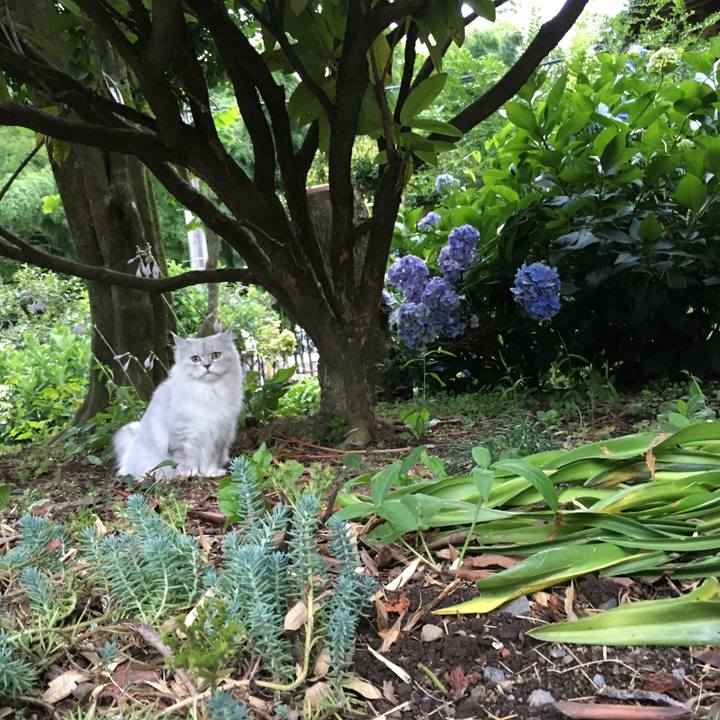 2cd05c55 f4af 4ae5 b11d 0103cda08149