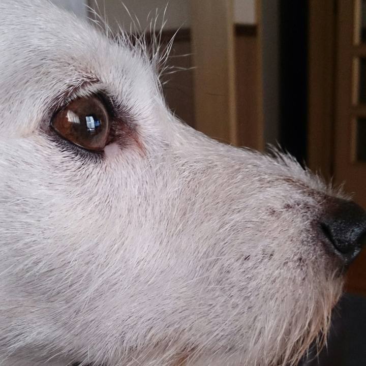 2cd08513 b11a 4ab3 a302 ea7cf1f2a6b0