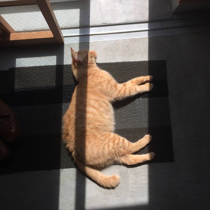 2cd0a714 8186 4683 9223 b467578cb905