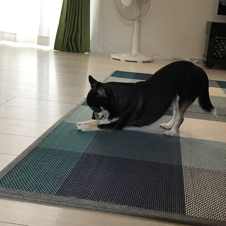 2cd0f18e 0c73 45a7 8372 7bb784c277b4