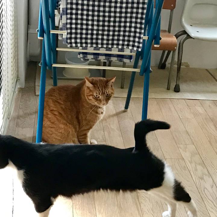 2cd12c78 f473 46e2 a484 8de75171abb3