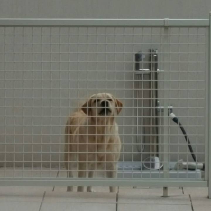 2cd17495 6a4f 4932 9851 3bf89220699c