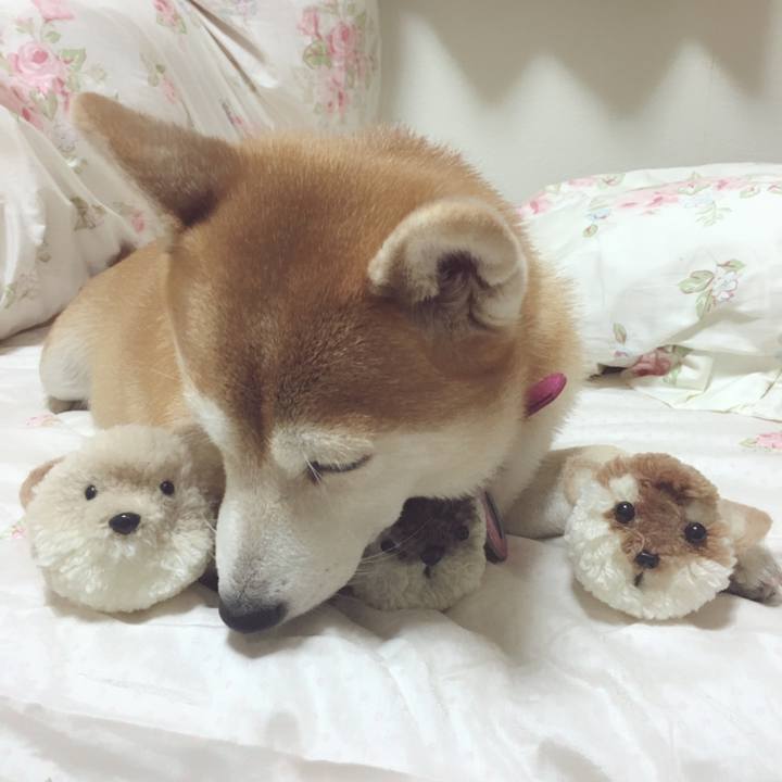 2cd19c50 65a1 43a1 87da f03ed95607dd