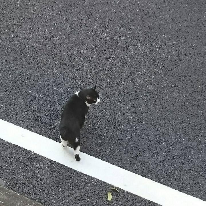 2cd2bcd9 2aca 4d6d b19e 03e774f85871