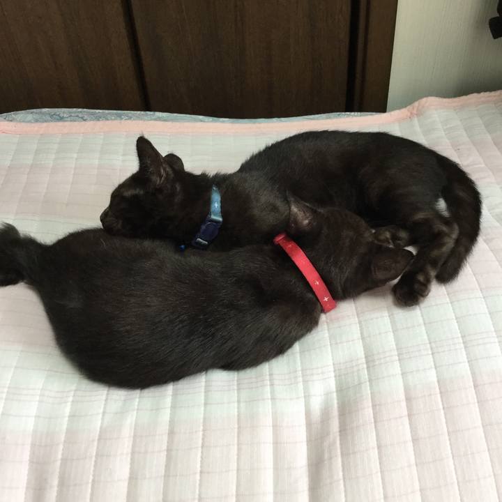 2cd2cc7c a981 4645 b369 33156f45a29b