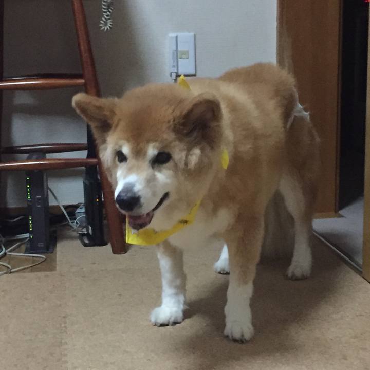 2cd3b7a8 8138 4351 89f0 68f9e26e686a