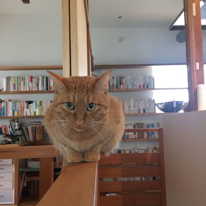 2cd3db9b 2b2f 4dff 8fd3 99893ec29c6a