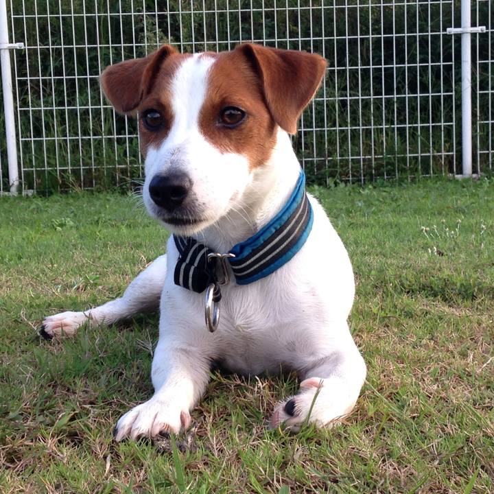 2cd4611b 4e16 495d 82ff 7a827af180d5