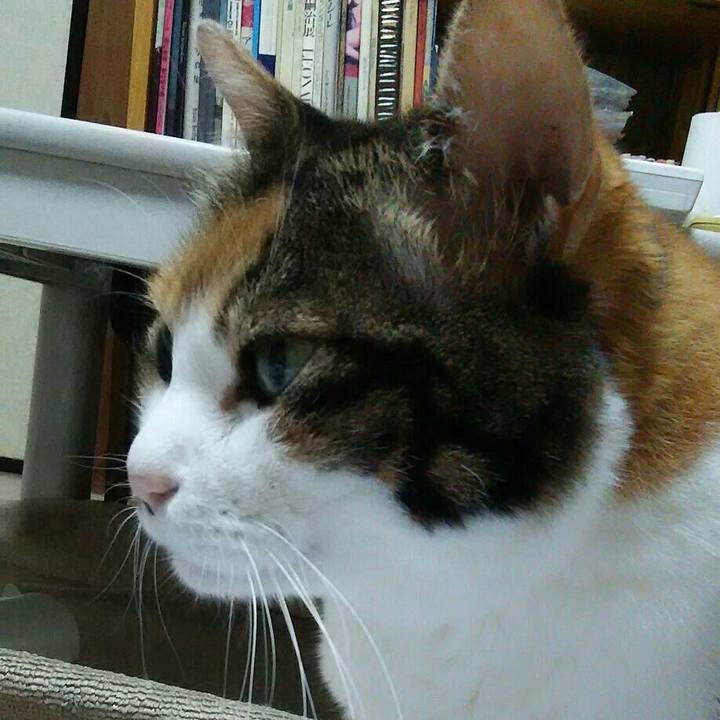 2cd4dfe6 e171 4110 9cd0 c2084ca9b2c8