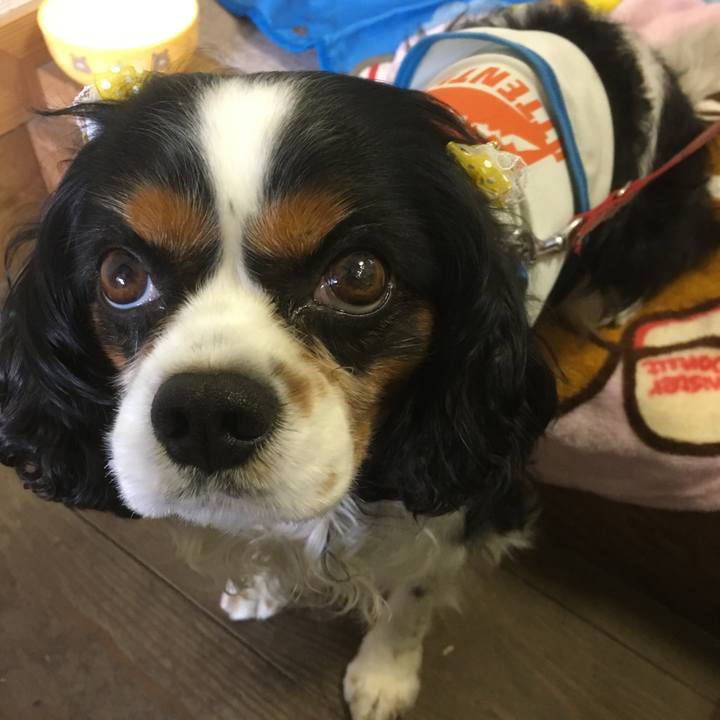 2cd5399a 88a7 420a 8c02 48edc7a46af7