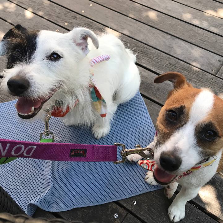 2cd58b74 28b7 4090 b09d 6438fa27257d