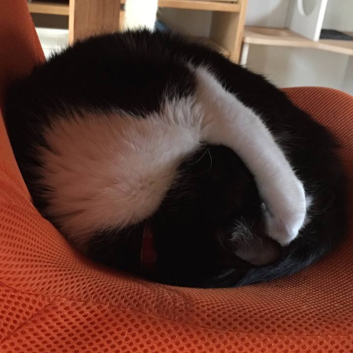 2cd68597 397f 4835 8387 27d9748ab3b5