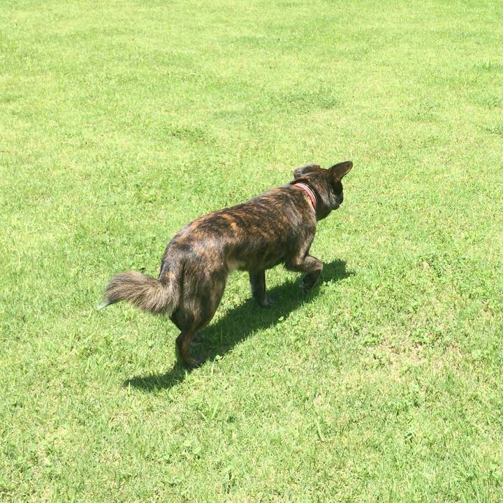 2cd68a4a 43f7 4e8f a46b 4df168e09256